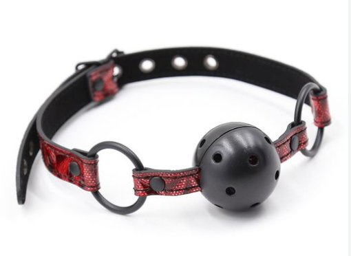 Exploring the Adult World: 10 Uncommon Terms Explained